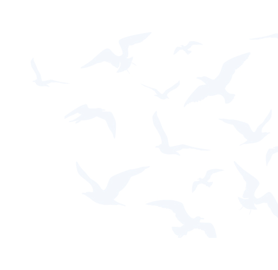 Eine grafik von verschiedenen fliegenden Vögeln